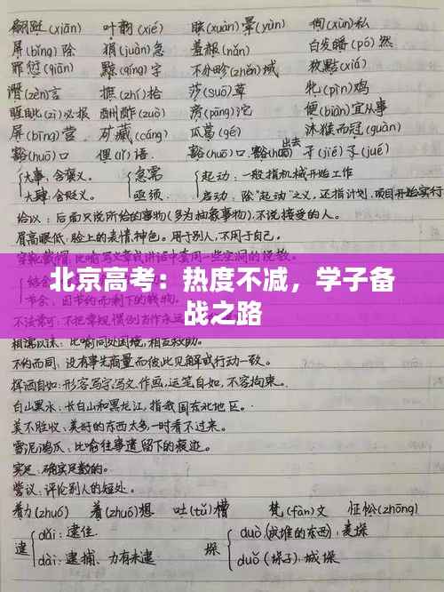 北京高考:热度不减,学子备战之路