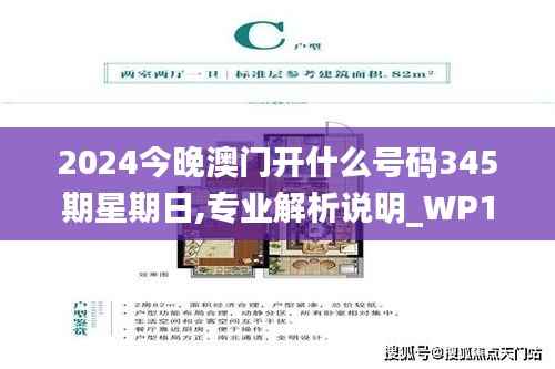 2024今晚澳门开什么号码345期星期日,专业解析说明_WP10.754