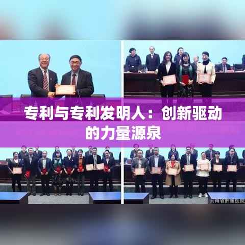 专利与专利发明人：创新驱动的力量源泉
