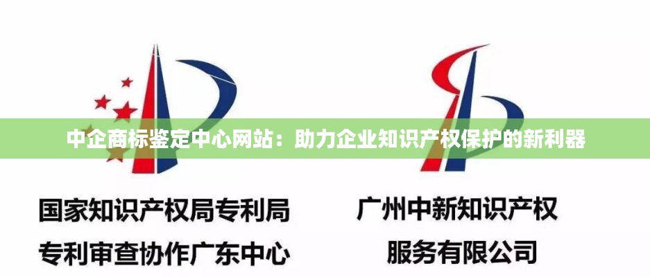 中企商标鉴定中心网站:助力企业知识产权保护的新利器