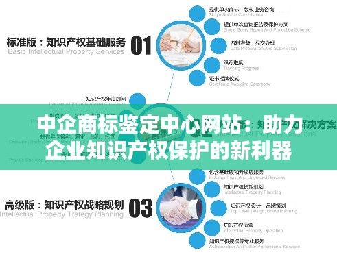 中企商标鉴定中心网站:助力企业知识产权保护的新利器
