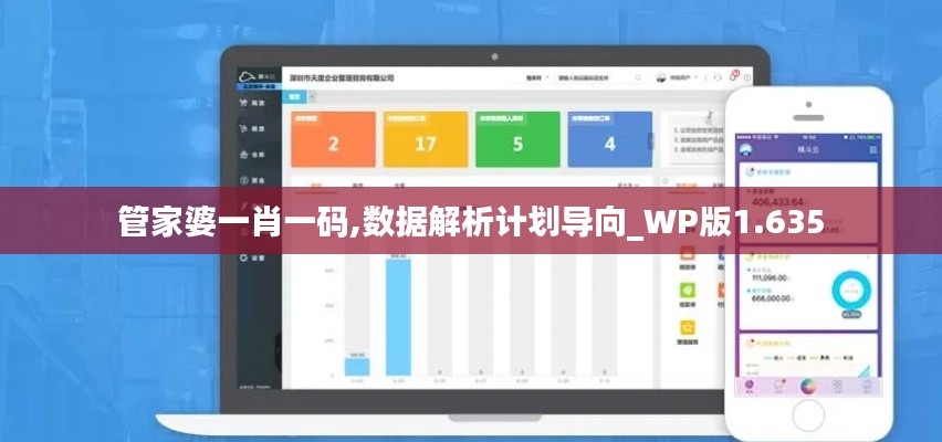 管家婆一肖一码,数据解析计划导向_WP版1.635