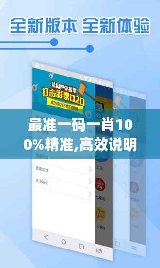 最准一码一肖100%精准,高效说明解析_限定版7.838
