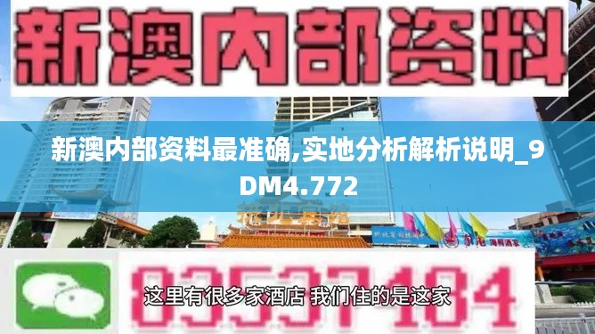 新澳内部资料最准确,实地分析解析说明_9DM4.772