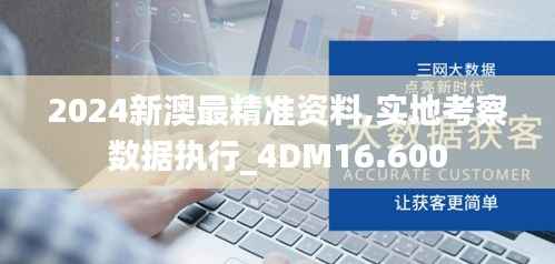 2024新澳最精准资料,实地考察数据执行_4DM16.600
