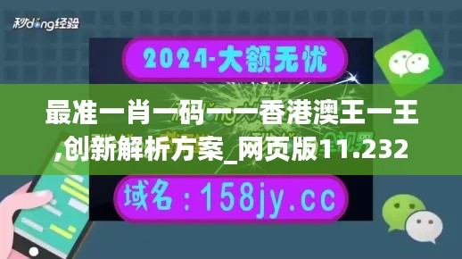 最准一肖一码一一香港澳王一王,创新解析方案_网页版11.232
