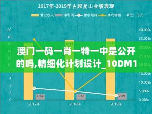 澳门一码一肖一特一中是公开的吗,精细化计划设计_10DM10.816