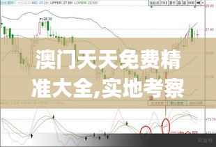 澳门天天免费精准大全,实地考察分析数据_iShop6.344