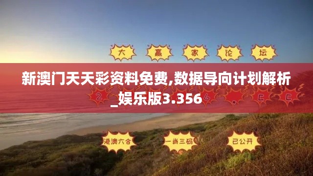 新澳门天天彩资料免费,数据导向计划解析_娱乐版3.356