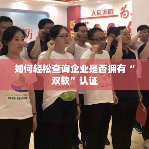 如何轻松查询企业是否拥有“双软”认证