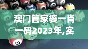澳门管家婆一肖一码2023年,实地计划验证策略_Nexus2.853
