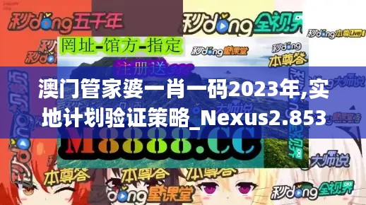 澳门管家婆一肖一码2023年,实地计划验证策略_Nexus2.853