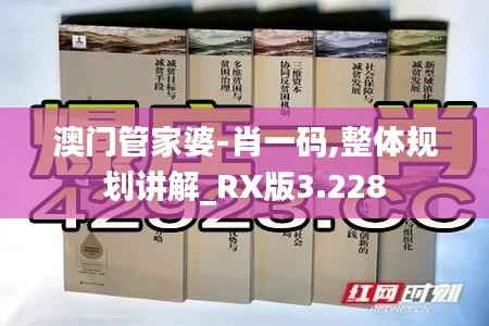 澳门管家婆-肖一码,整体规划讲解_RX版3.228