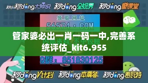 管家婆必出一肖一码一中,完善系统评估_kit6.955