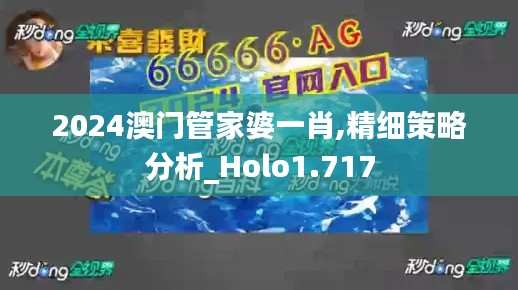 2024澳门管家婆一肖,精细策略分析_Holo1.717