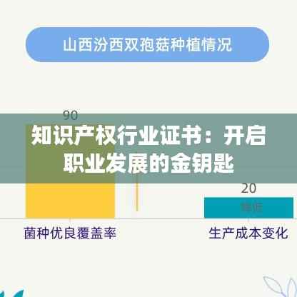 知识产权行业证书:开启职业发展的金钥匙