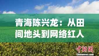 青海陈兴龙:从田间地头到网络红人的蜕变之路