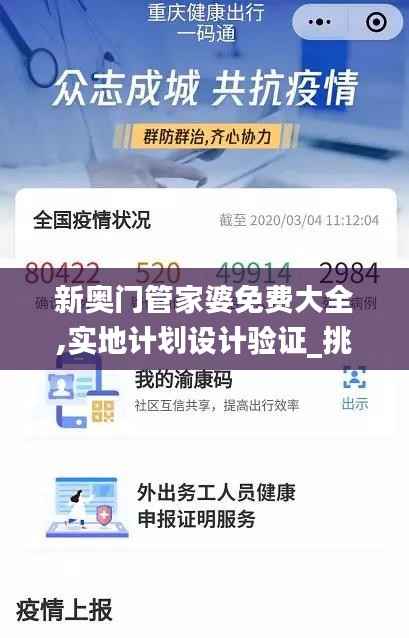 新奥门管家婆免费大全,实地计划设计验证_挑战款16.663