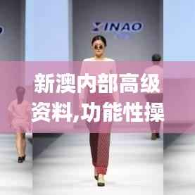 新澳内部高级资料,功能性操作方案制定_冒险版1.135