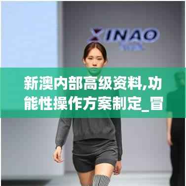 新澳内部高级资料,功能性操作方案制定_冒险版1.135