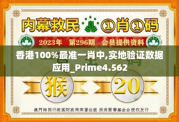 香港100%最准一肖中,实地验证数据应用_Prime4.562