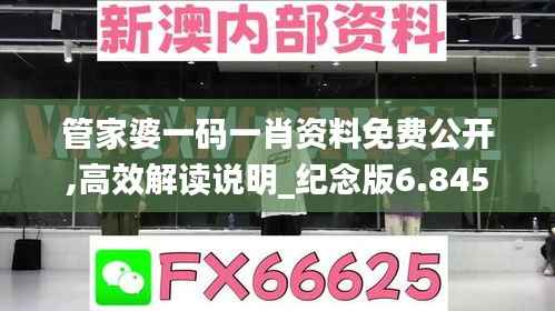 管家婆一码一肖资料免费公开,高效解读说明_纪念版6.845