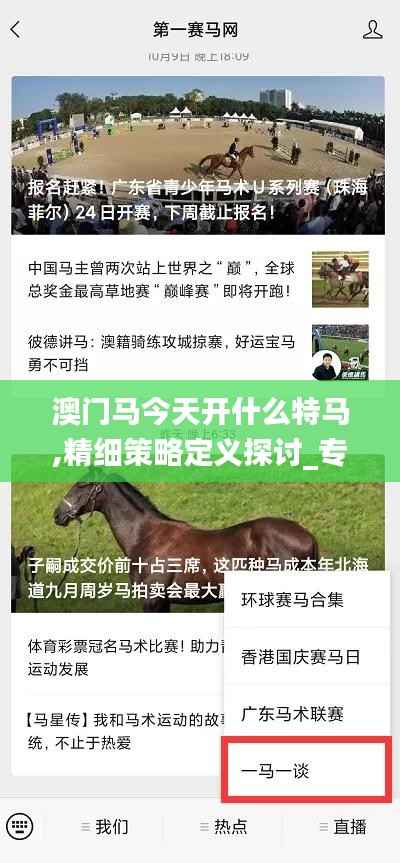 澳门马今天开什么特马,精细策略定义探讨_专业版9.194