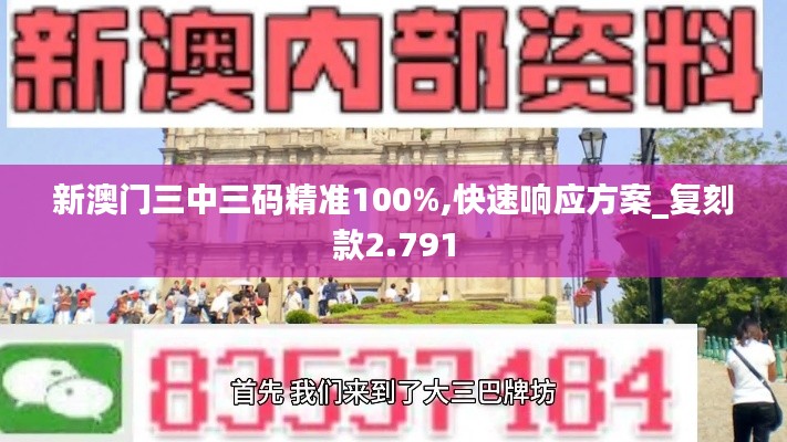 新澳门三中三码精准100%,快速响应方案_复刻款2.791