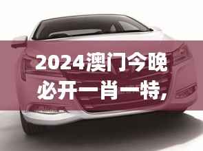 2024澳门今晚必开一肖一特,快速问题设计方案_Hybrid10.353