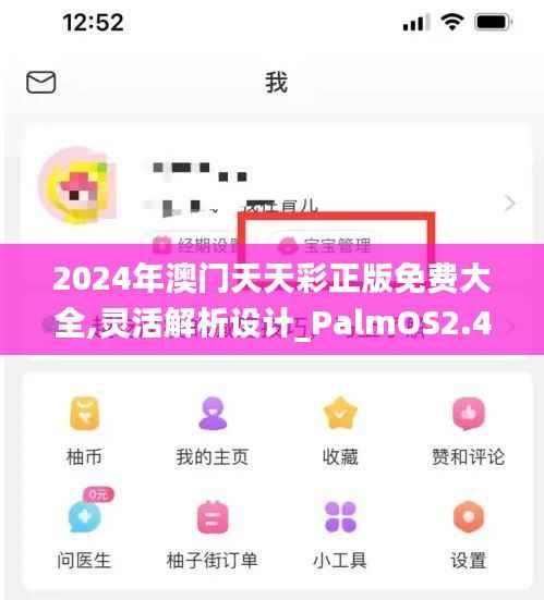 2024年澳门天天彩正版免费大全,灵活解析设计_PalmOS2.477