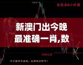 新澳门出今晚最准确一肖,数据引导策略解析_Holo6.545