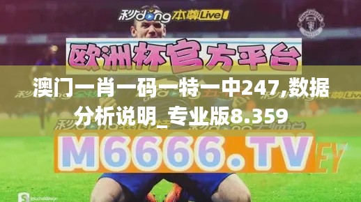 澳门一肖一码一特一中247,数据分析说明_专业版8.359