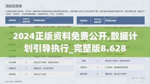2024正版资料免费公开,数据计划引导执行_完整版8.628