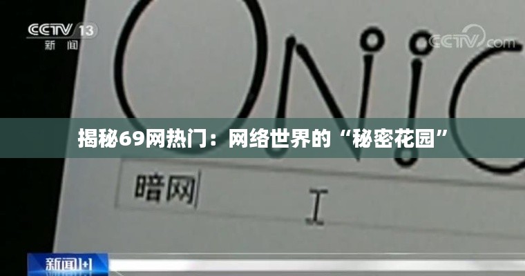 揭秘69网热门:网络世界的“秘密花园”