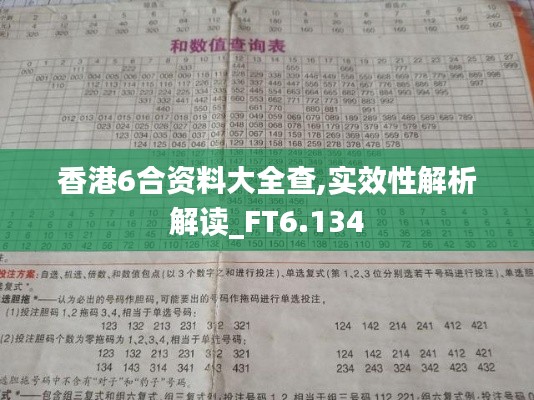 香港6合资料大全查,实效性解析解读_FT6.134