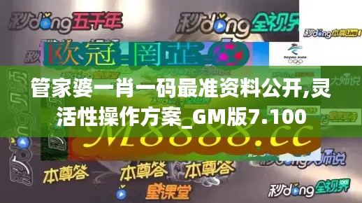 管家婆一肖一码最准资料公开,灵活性操作方案_GM版7.100