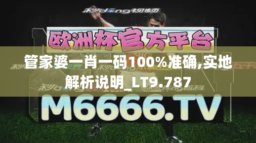 管家婆一肖一码100%准确,实地解析说明_LT9.787