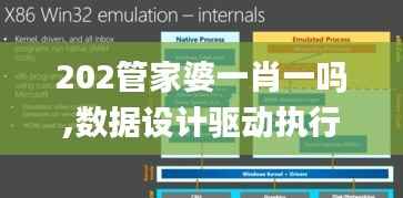 202管家婆一肖一吗,数据设计驱动执行_精英款10.410