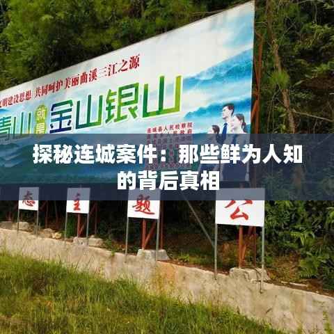 探秘连城案件:那些鲜为人知的背后真相
