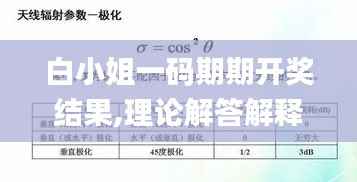 白小姐一码期期开奖结果,理论解答解释定义_Deluxe8.565