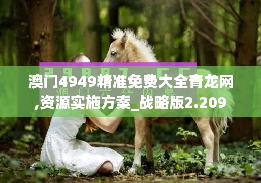 澳门4949精准免费大全青龙网,资源实施方案_战略版2.209