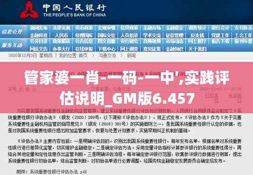 管家婆一肖-一码-一中′,实践评估说明_GM版6.457