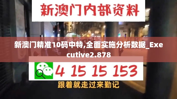 新澳门精准10码中特,全面实施分析数据_Executive2.878