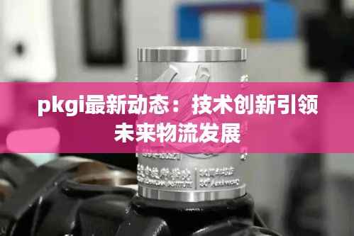 pkgi最新动态:技术创新引领未来物流发展