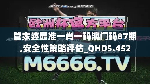 管家婆最准一肖一码澳门码87期,安全性策略评估_QHD5.452