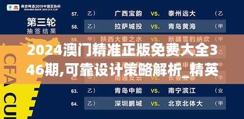 2024澳门精准正版免费大全346期,可靠设计策略解析_精英版9.611