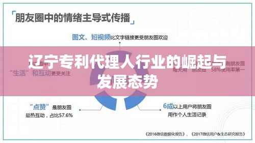 辽宁专利代理人行业的崛起与发展态势