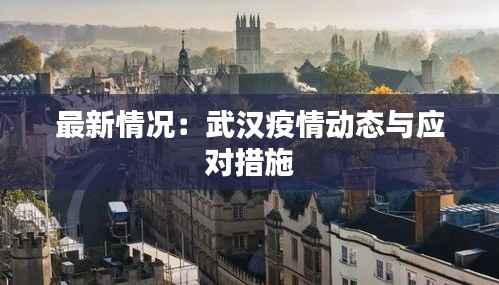最新情况:武汉疫情动态与应对措施