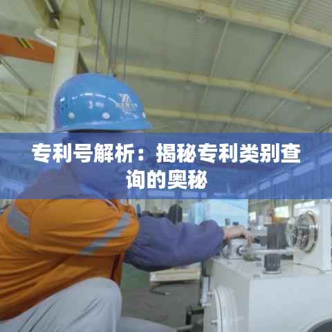 专利号解析:揭秘专利类别查询的奥秘