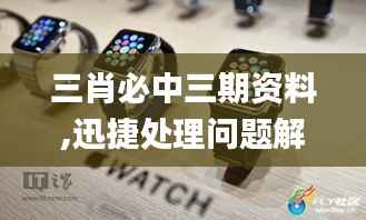 三肖必中三期资料,迅捷处理问题解答_watchOS8.479
